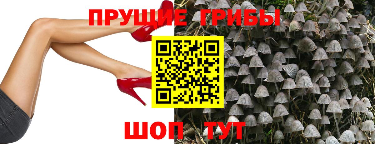 цена наркотик  Вход с VPN  Рубцовск  Псилоцибиновые грибы Psilocybe 