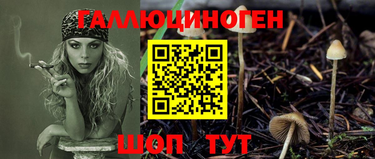 Галлюциногенные грибы ЛСД Рубцовск